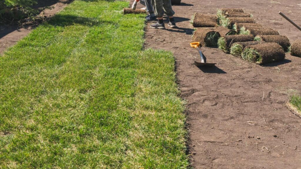 Artificial Turf Installation Inglewood, CA