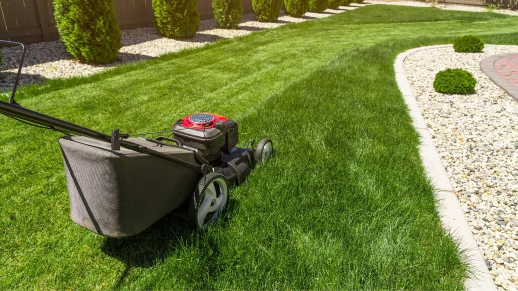 Lawn Care & Maintenance Inglewood, CA