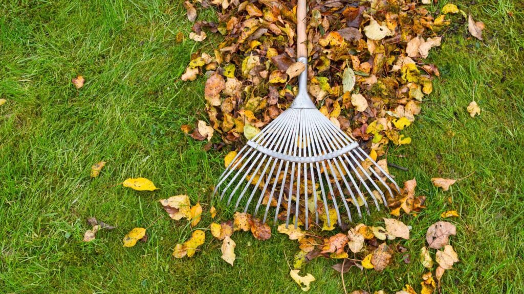 Seasonal Cleanups Inglewood, CA