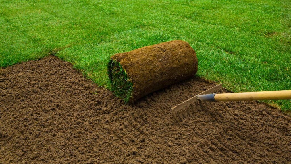 Sod Installation Inglewood, CA